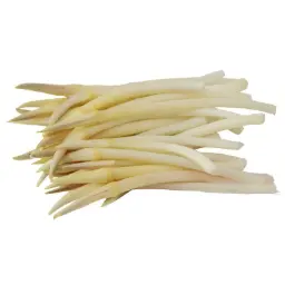 产品 Image